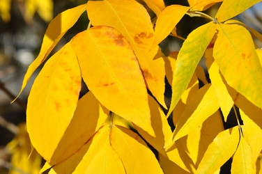 Similar image 1505468