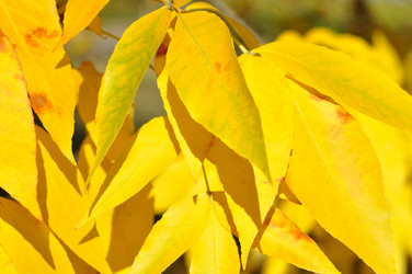 Similar image 1505469