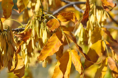 Similar image 1505484