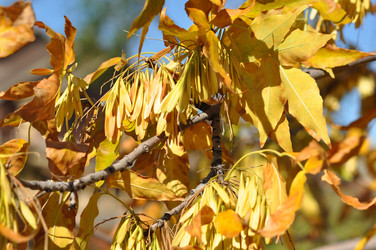 Similar image 1505485