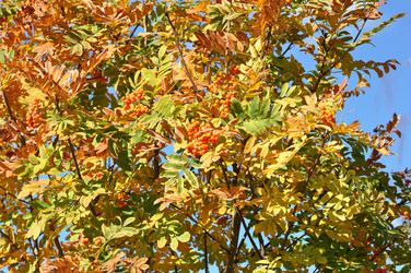 Similar image 1505488