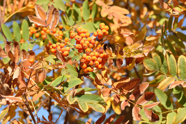 Similar image 1505489