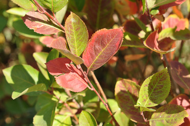 Similar image 1505490