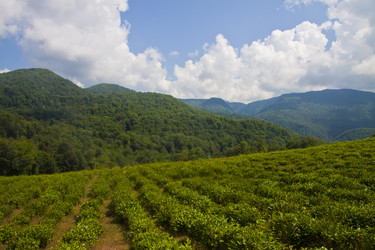 Similar image 1505663