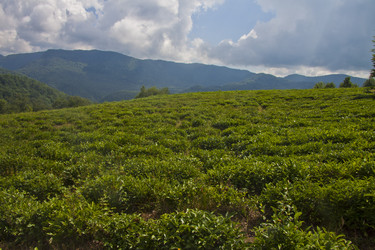 Similar image 1505666