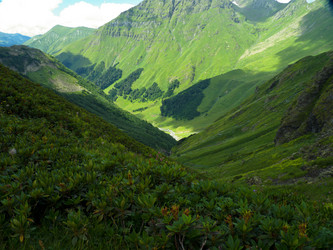 Similar image 1505770