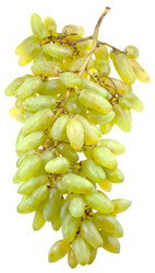 Similar image 1505803