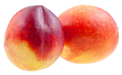 Similar image 1505818