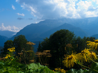 Similar image 1505920