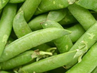 Similar image 1505985