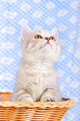 Similar image 1505992