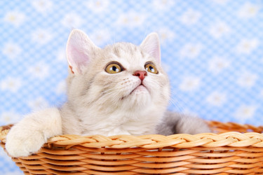 Similar image 1505996