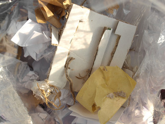 Similar image 1506035