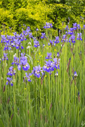 Similar image 1506078