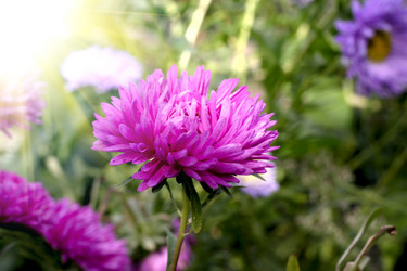 Similar image 1506311