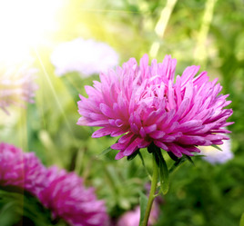 Similar image 1506324