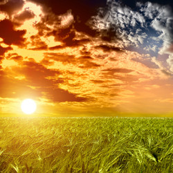 Similar image 1506337