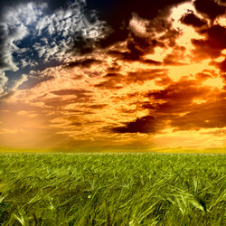 Similar image 1506338