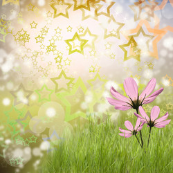 Similar image 1506346