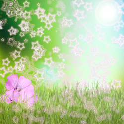 Similar image 1506348