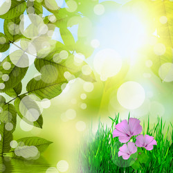 Similar image 1506350