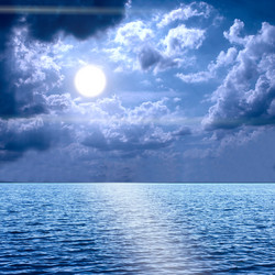 Similar image 1506352