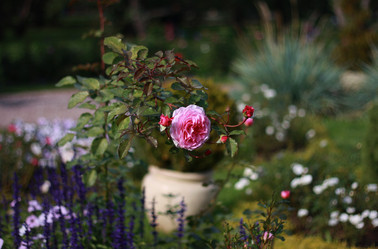 Similar image 1506456