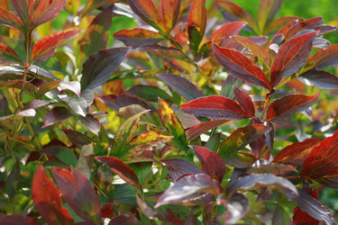 Similar image 1506457