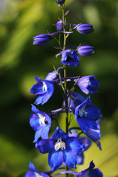 Similar image 1506460