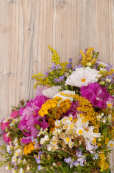 Similar image 1506489