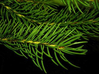 Similar image 1506505