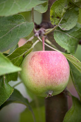 Similar image 1506517