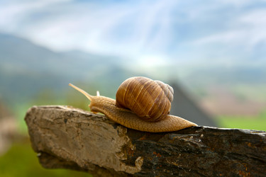 Similar image 1506534