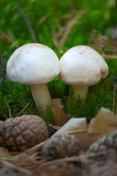 Similar image 1506541