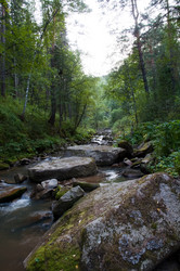 Similar image 1506592