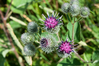 Similar image 1506593