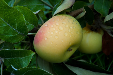 Similar image 1506611