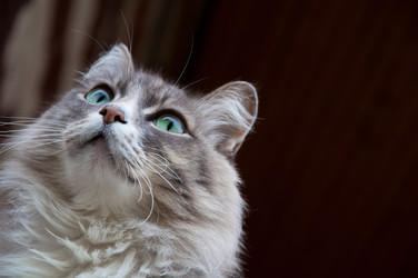 Similar image 1506618