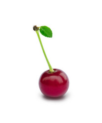 Similar image 1506620