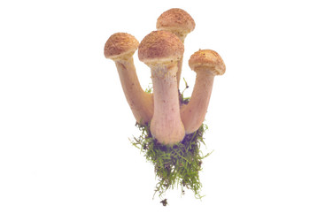 Similar image 1506659