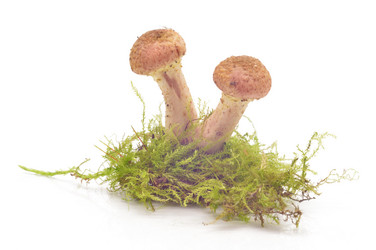 Similar image 1506670