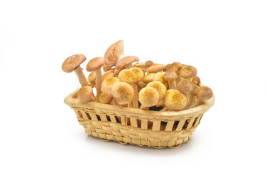 Similar image 1506702