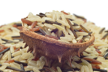 Similar image 1506705