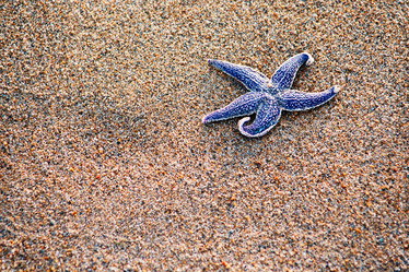 Similar image 1506837