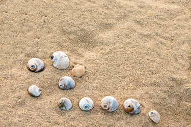 Similar image 1506838