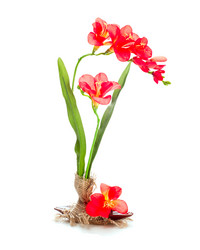 Similar image 1506848