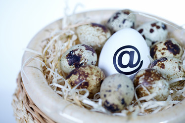 Similar image 1506890