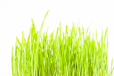 Similar image 1506981