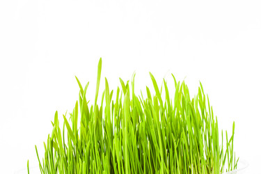 Similar image 1506986