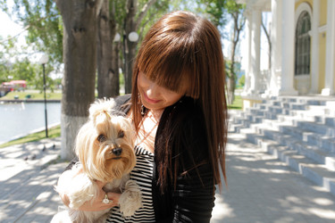 Similar image 1507107